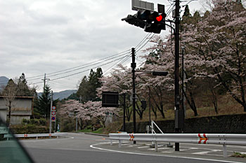 080420-2.jpg