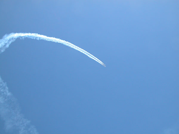 DSCN8449